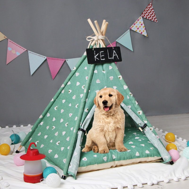 Pet tent kennel