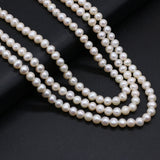 Natural Freshwater Pearl Circular Punch